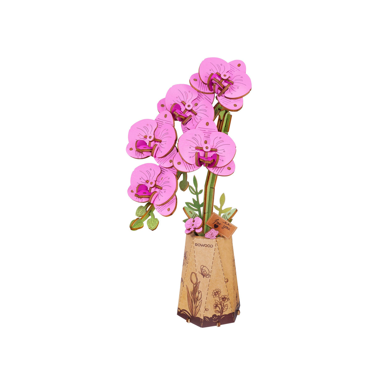 Rowood Holzblumen Bausatz Schmetterlingsorchidee – Purple Moth Orchid TW091 – Ansicht 4