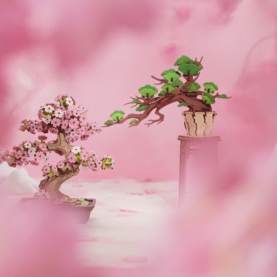 Rolife 3D Holzpuzzle Sakura Bonsai TG415 – Video 1