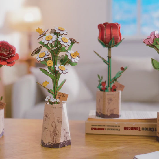 Rowood Holzblumen Bausatz Kamille TW061 – Video 1
