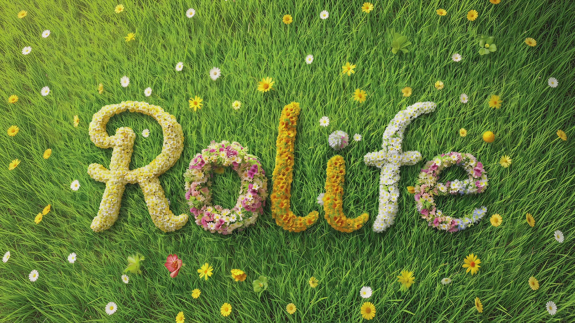 Rolife DIY Miniaturhaus Waldhäuschen – Fluffy Grove DG184 – Video 1