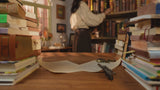 Rolife DIY Miniaturhaus Buchladen – Sam's Study Room DG102 – Video 1