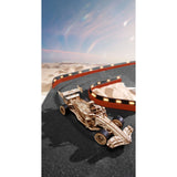 ROKR LK505 Racing Car naturbelassen als Deko im Regal