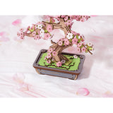 3D Holzpuzzle für Erwachsene: Bonsai-Kiefer mit rotbrauner Rinde im Detail