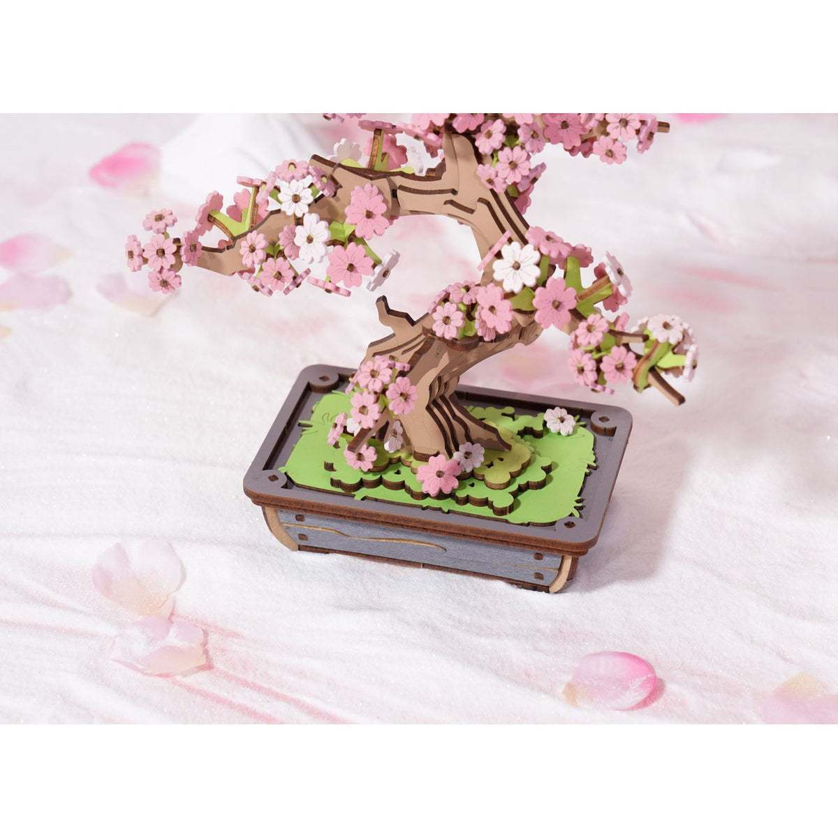 3D Holzpuzzle für Erwachsene: Bonsai-Kiefer mit rotbrauner Rinde im Detail