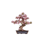 Rolife 3D Holzpuzzle Sakura Bonsai TG415 fertig aufgebaut mit rosa Kirschblüten