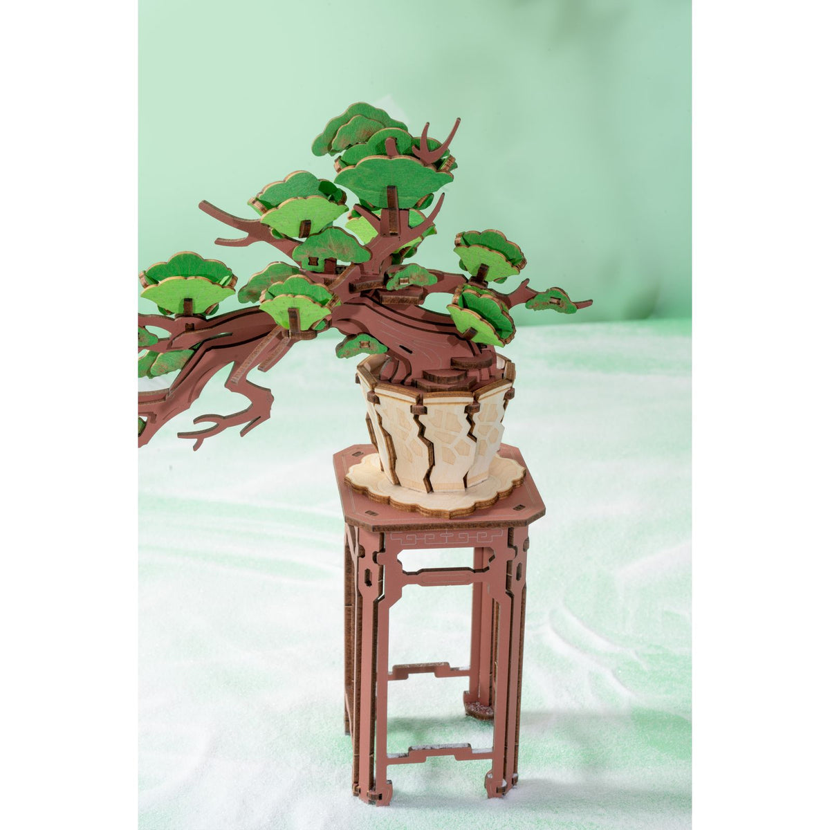 Nahaufnahme der rosa Kirschblüten am Rolife Sakura Bonsai