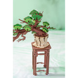 Nahaufnahme der rosa Kirschblüten am Rolife Sakura Bonsai