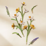Einzelteile des Rowood Holzblumen Bausatzes Narcissus mit 280 Teilen