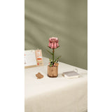 Rosa – 3D Holzpuzzle Rose von Rowood als Dekoration auf dem Regal