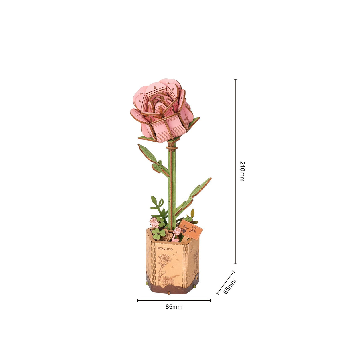 Rosa – Verpackung des Rowood Rose Bausatzes TW041 mit 104 Teilen